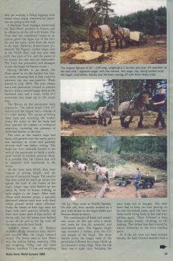 Horse Logging Articles